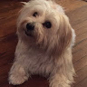 Meet your Posher, Taryn